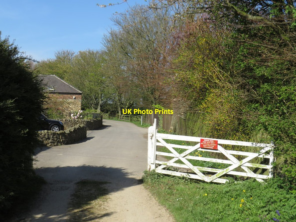 Photo 6"x4" Old Burdon, near Sunderland Old Burdon c2019