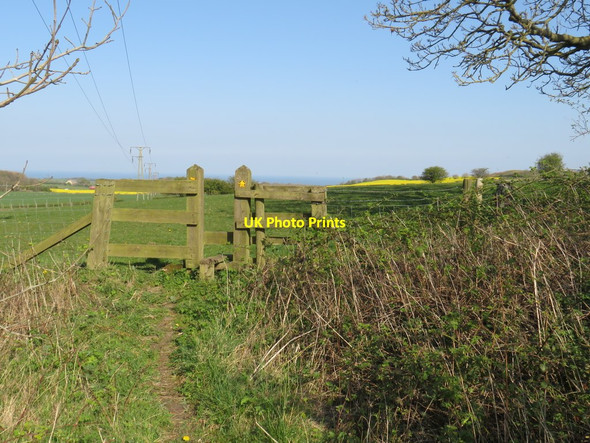 Photo 6"x4" Stile near Houghton-le-Spring Houghton-Le-Spring c2019