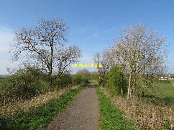Photo 6"x4" The Stephenson Trail near Houghton-le-Spring Houghton-Le-Spring c2019
