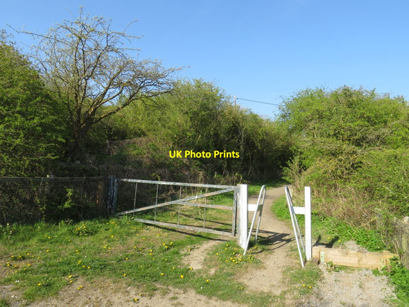Photo 6"x4" The Stephenson Trail at Warden Law, near Houghton-le-Spring Houghton-Le-Spring c2019