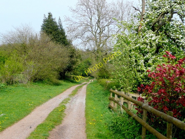 Photo 6"x4" Track from Lawns Farm Ross-on-Wye c2009