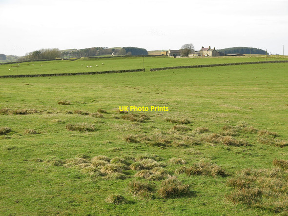 Photo 6"x4" Farmland around Great Chesters and Aesica (Great Chesters fort) Haltwhistle c2019