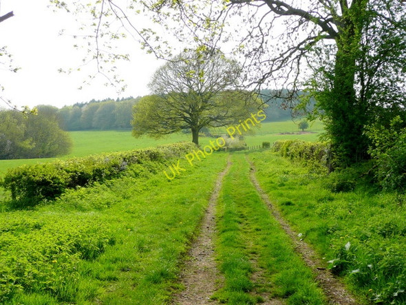 Photo 6"x4" Track and footpath west of Lawns Farm Ross-on-Wye c2009