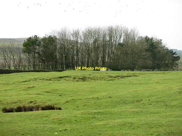 Photo 6"x4" Aesica (Great Chesters fort) Haltwhistle c2019