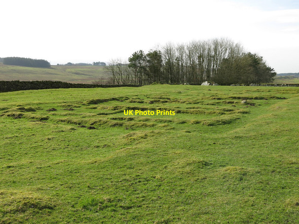 Photo 6"x4" Aesica (Great Chesters fort) (3) Haltwhistle c2019
