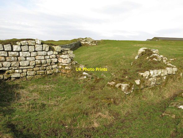 Photo 6"x4" Aesica (Great Chesters fort) - southwest tower, west wall and gate Haltwhistle c2019