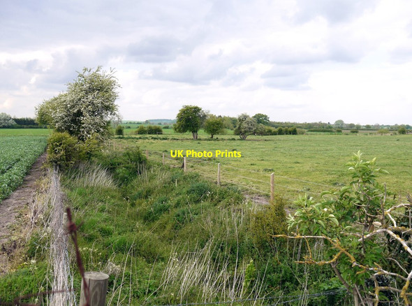 Photo 6"x4" View across the Mill Brook flood-plain Wallingford c2019
