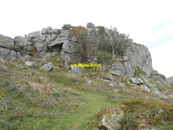 Photo 6"x4" A tree, a cave and a tor Bonehill\/SX7277 c2019