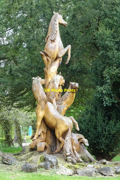 Photo 6"x4" Horses tree sculpture Highnam c2019