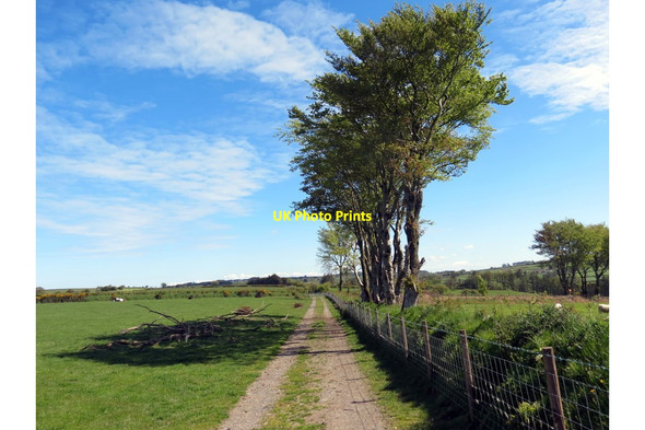 Photo 6"x4" Llwybr ceffyl ger Ffarm Gwardafolog \/ Bridleway near Gwardafolog Farm Pont-si\u00e2n c2019