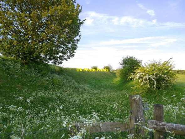 Photo 6"x4" Segsbury hillfort: a view along the ditch Letcombe Bassett c2019