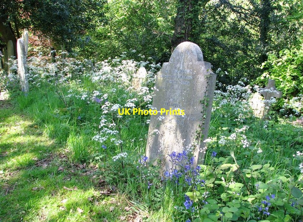 Photo 6"x4" Gravestones beside a path on the terraces Norwich c2019