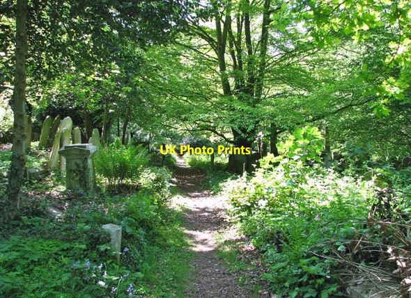 Photo 6"x4" A shady path at the foot of the terraces Norwich c2019