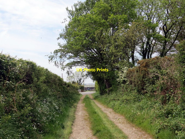 Photo 6"x4" Llwybr Ceffyl Rhipyn Du \/ Rhipyn Du Bridleway Blaen-Cil-Llech c2019