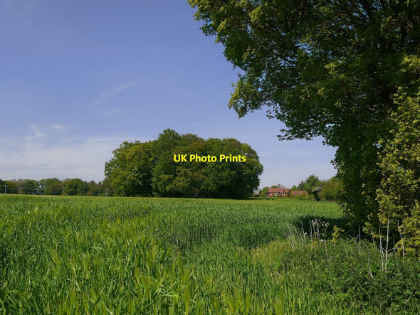 Photo 6"x4" Farmland near Heath End Nuffield c2019