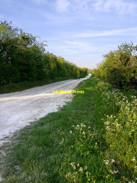 Photo 6"x4" The Ridgeway at Segsbury: view east Letcombe Bassett c2019