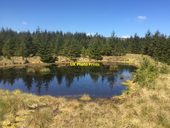 Photo 6"x4" Pond, Bowsmuir Forest Allt a' Bheithe\/NN7208 c2019