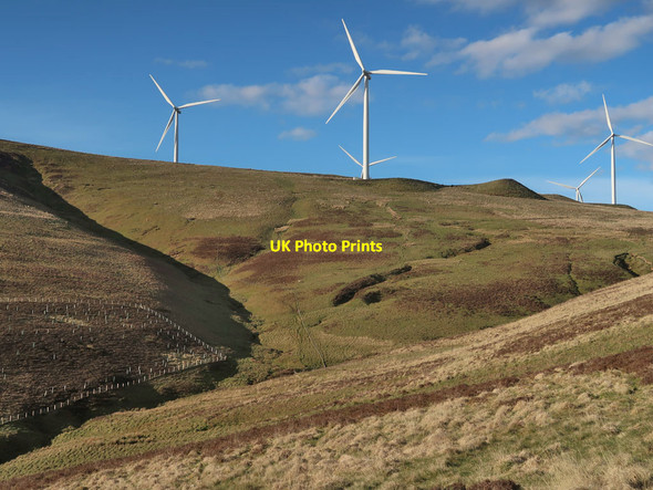 Photo 6"x4" Wind Turbines and moorland Midlock c2019
