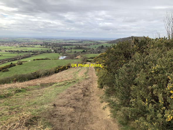 Photo 6"x4" Bridleway below Ayton Banks Wood Little Ayton c2019