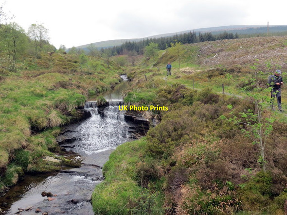 Photo 6"x4" Sgwt Afon Hore \/ Afon Hore Waterfall Hafren Forest c2019
