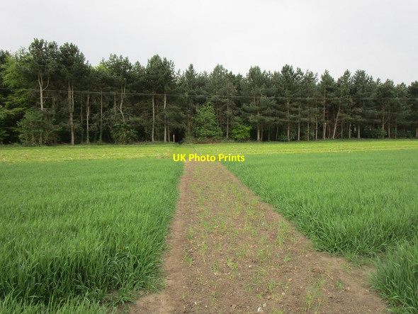 Photo 6"x4" Bridleway to Old London Road Retford c2019