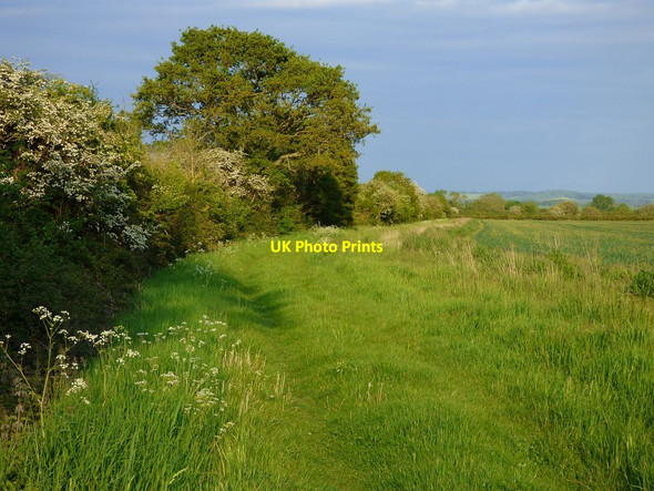 Photo 6"x4" Bridleway, Warborough Newington\/SU6096 c2019