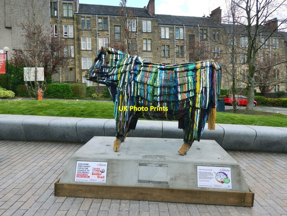 Photo 6"x4" Sculpture: Cow Paisley c2019