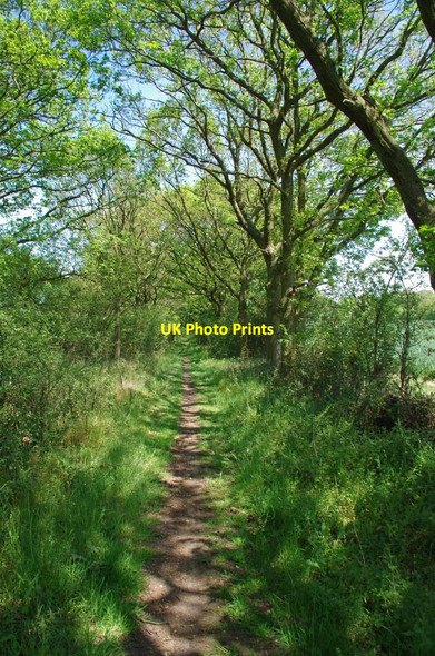 Photo 6"x4" Bridleway to Mount Rd Mount End c2019
