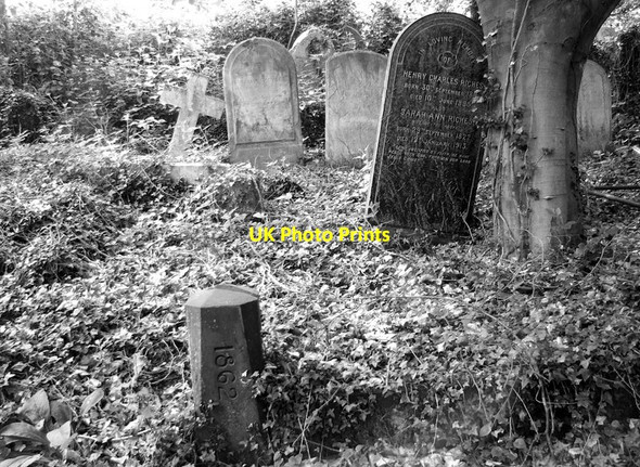 Photo 6"x4" Graves on the lower terraces Norwich c2019