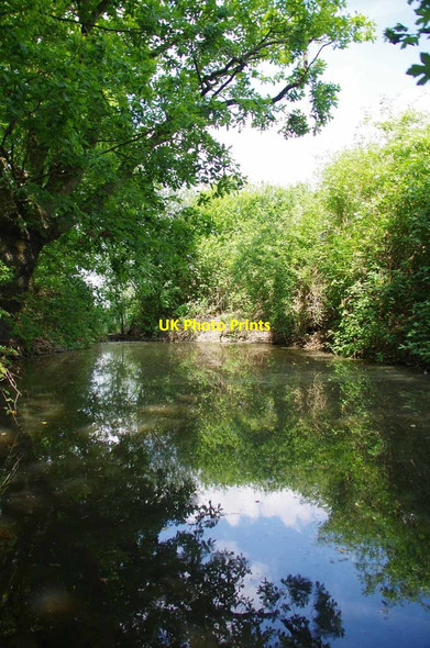 Photo 6"x4" Pond by Featherbed Lane Lambourne\/TQ4796 c2019