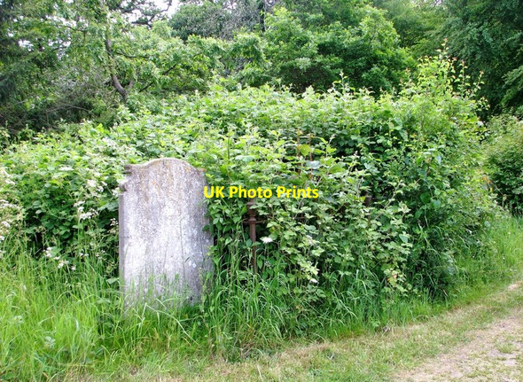 Photo 6"x4" The Hunt Family burial plot Norwich c2019