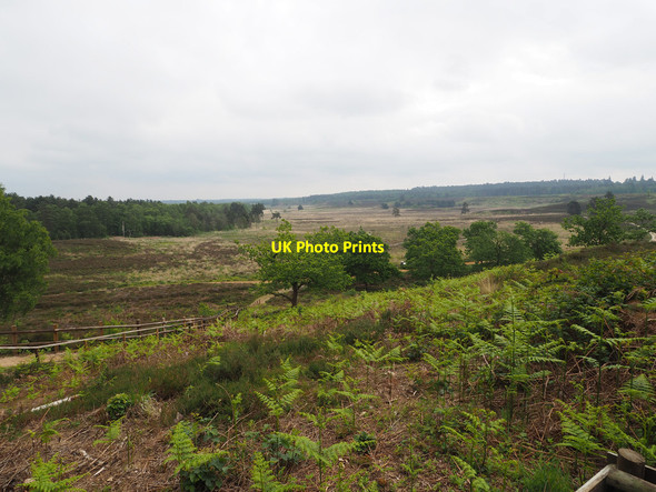 Photo 6"x4" View from top of cliff Wolferton c2019