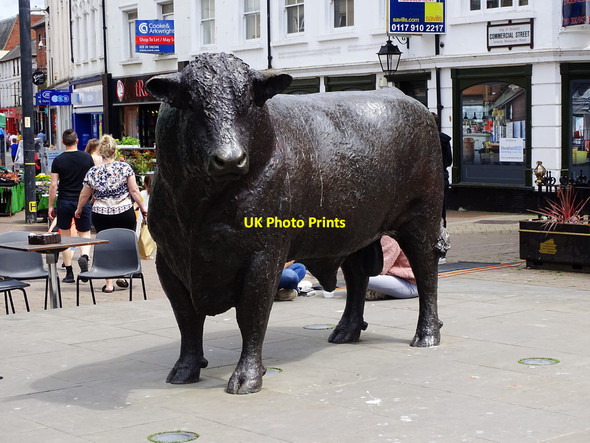 Photo 6"x4" Bull, Commercial Street, Hereford Hereford c2019