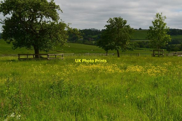 Photo 6"x4" Field at Manor Farm Wyke Champflower c2019