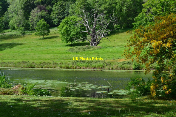 Photo 6"x4" Stourhead Garden: View across lily pond Stourton\/ST7734 c2019