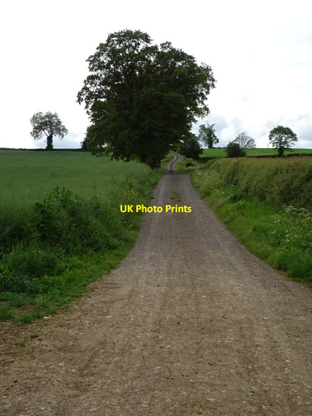 Photo 6"x4" Bridleway and track The Colony c2019