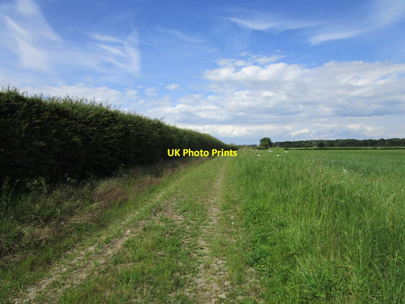 Photo 6"x4" Bridleway to Furze Hill Sturton by Stow c2019