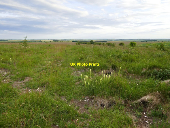 Photo 6"x4" Upavon Down (2) Lower Everleigh c2019