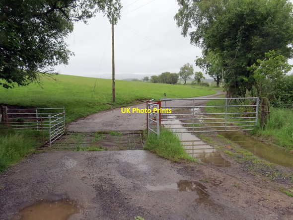Photo 6"x4" Llwybr Ceffyl Tan-y-bryn \/ Tan-y-bryn Bridleway Stags Head c2019 P1