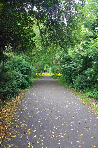 Photo 6"x4" The Flitch Way Braintree c2019