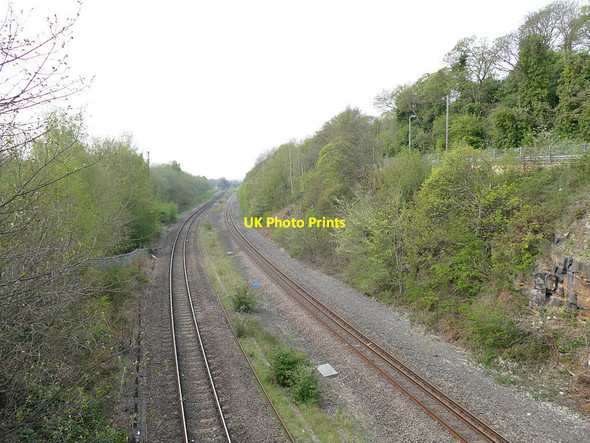 Photo 6"x4" Railway cutting west of Addingford Lane Horbury c2019