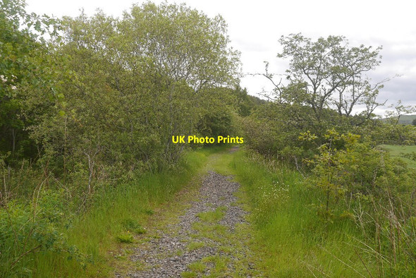 Photo 6"x4" Symington, Biggar and Broughton Railway trackbed Barns\/NT2139 c2019
