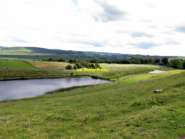 Photo 6"x4" Ponds west of Humbleton Wooler c2019