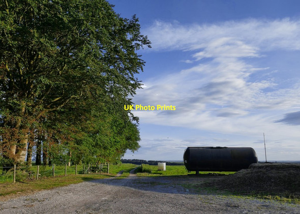 Photo 6"x4" Beech clump and farm track on Pewsey Down Southcott\/SU1759 c2019