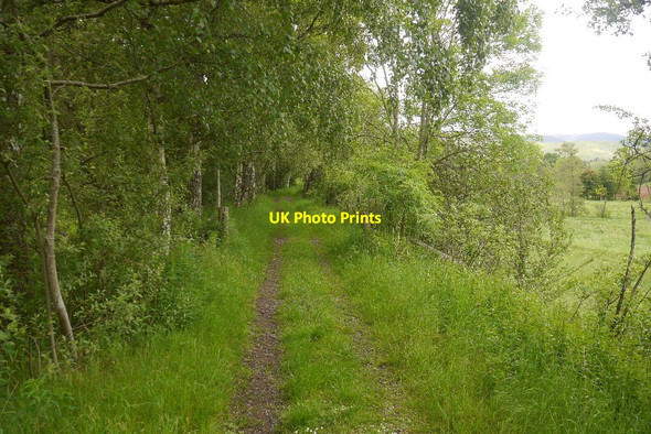 Photo 6"x4" Symington, Biggar and Broughton Railway trackbed Barns\/NT2139 c2019