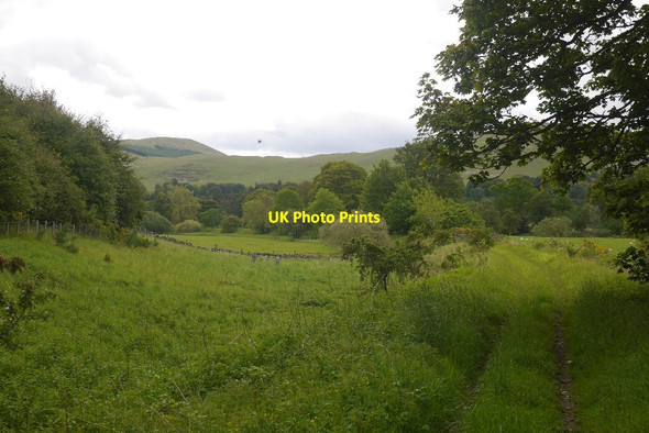 Photo 6"x4" Symington, Biggar and Broughton Railway trackbed Barns\/NT2139 c2019 P1