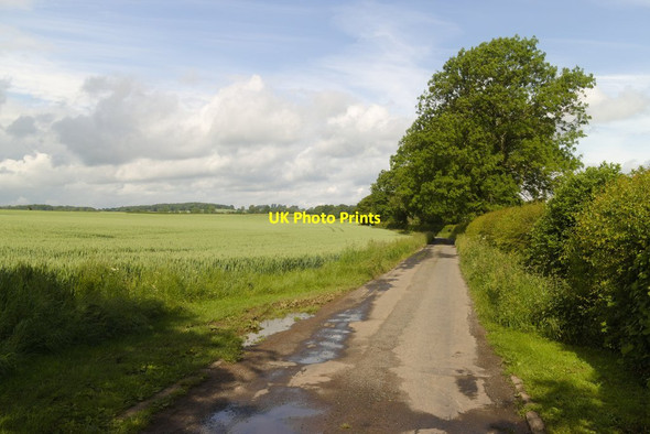 Photo 6"x4" Bridleway on Hell Wath Lane Ingerthorpe c2019