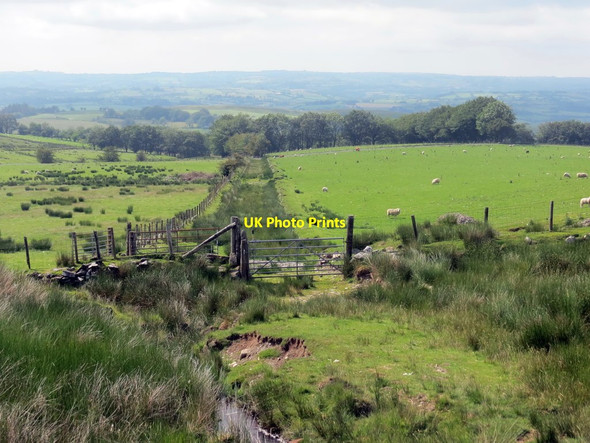Photo 6"x4" Llwybr ceffyl ger Tan-garn-felen \/ Bridleway near Tan-garn-felen Tregaron c2019