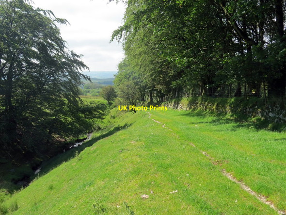 Photo 6"x4" Llwybr ceffyl ger Bryn-wernen \/ A bridleway near Bryn-wernen Tregaron c2019