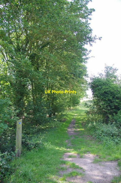 Photo 6"x4" Bridleway 15-20 Blake End c2019